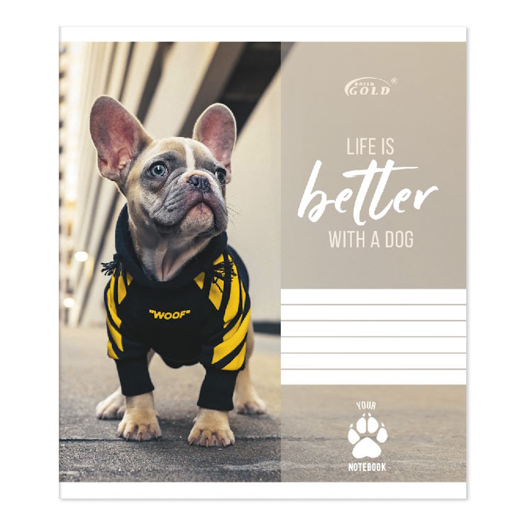 Зошит на 12 аркушів у косу лінію «Мікс Хлопці», №3102, ТМ Gold Brisk