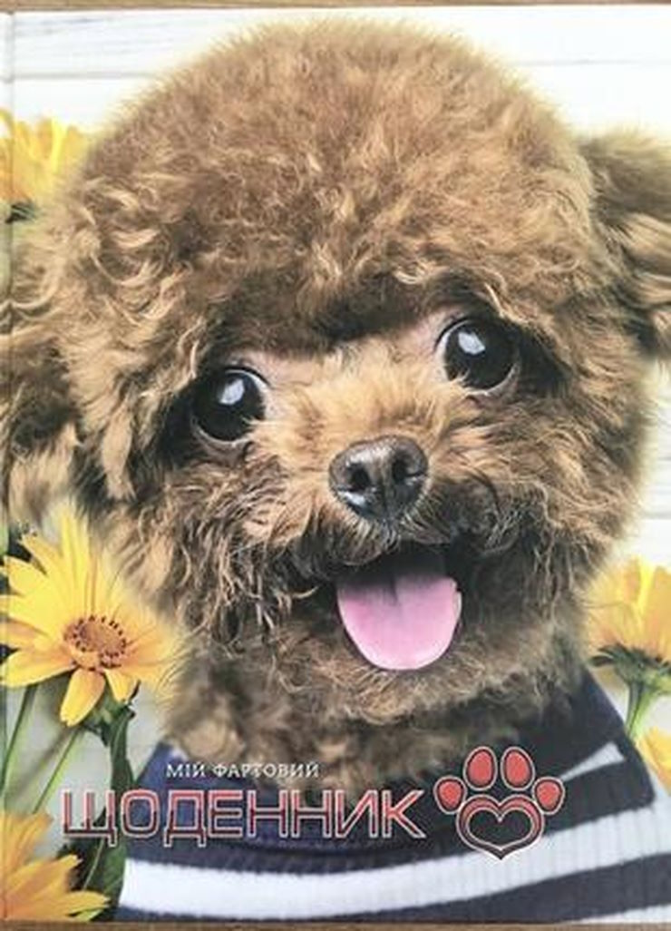 Щоденник шкільний 16,5х21 см на 40 аркушів з картонною обкладинкою, ТМ Мандарин