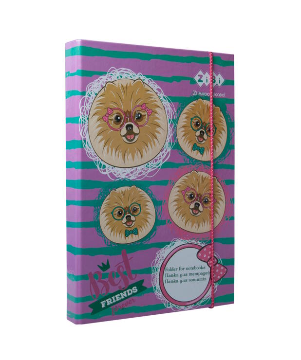 Папка для зошитів «OWL» В5+ картонна на гумках, TM ZiBi