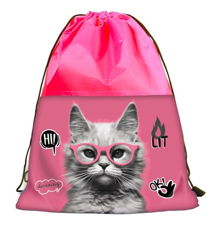 Сумка для взуття «Кіт в окулярах» з одностороннім друком, 46х32 см, ТМ Leader