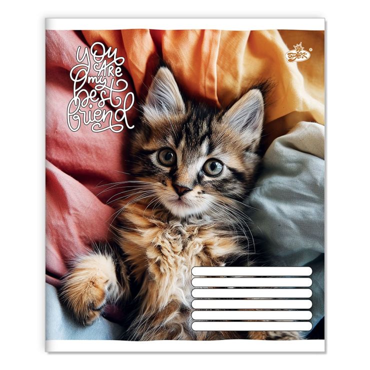 Зошит на 18 аркушів у лінію «Мяу» №2560, ТМ Brisk