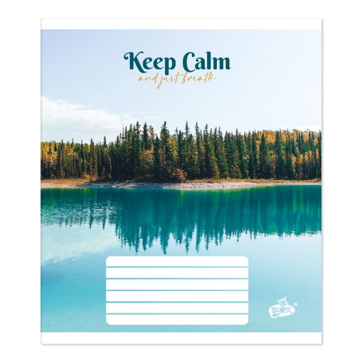 Зошит на 60 аркушів у клітинку «Спокій», №2623, ТМ Brisk