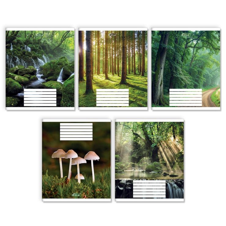 Зошит на 24 аркуші у лінію «Зачарований ліс», №3524, ТМ Gold Brisk