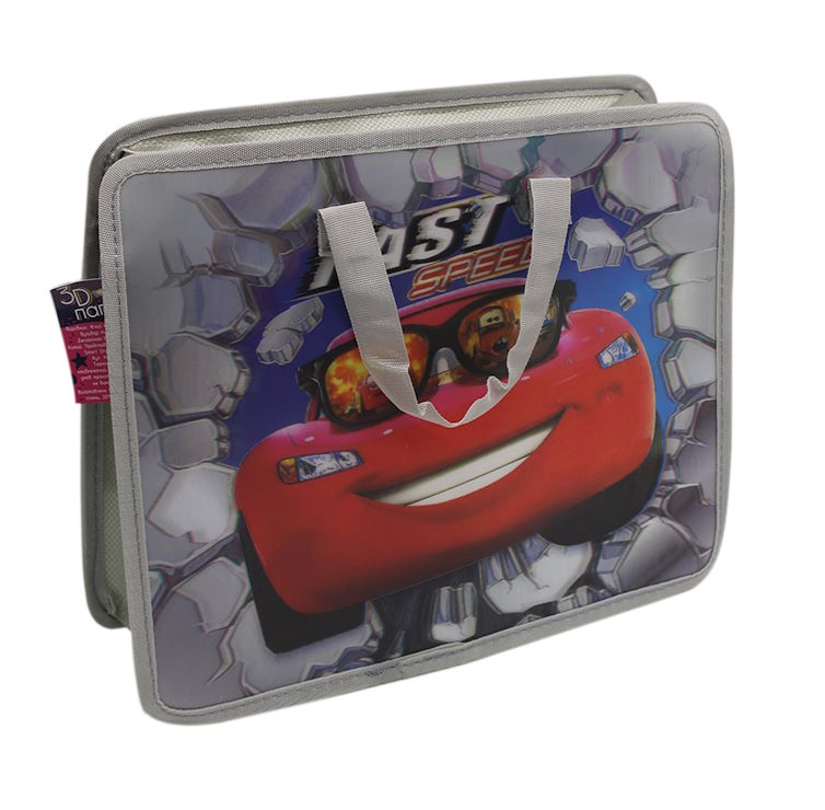 Папка-портфель «Машиина з окулярами» А4 на блискавці з тканинними ручками, ТМ Leader