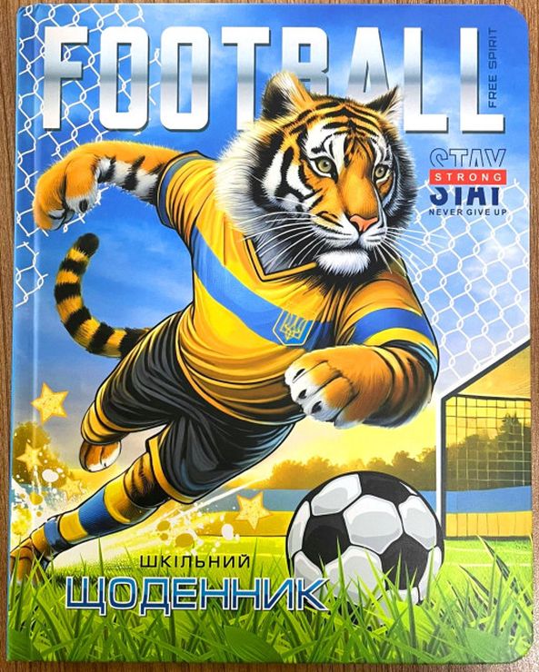 Щоденник шкільний 16,5х21 см на 40 аркушів з картонною обкладинкою, ТМ Мандарин