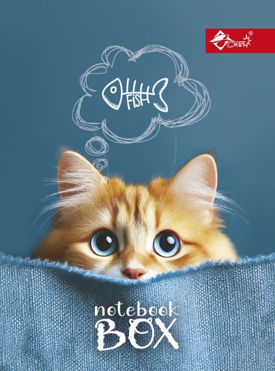 Папка для зошитів «Котяча мрія» В5 картонна на гумці, ТМ Скат