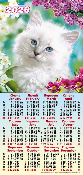 Календар третинка «Котик»