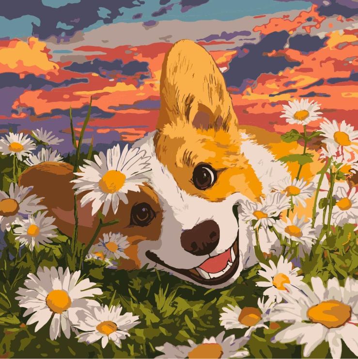 Картина за номерами «Коргі у ромашках» 40х40 см, ТМ Ідейка