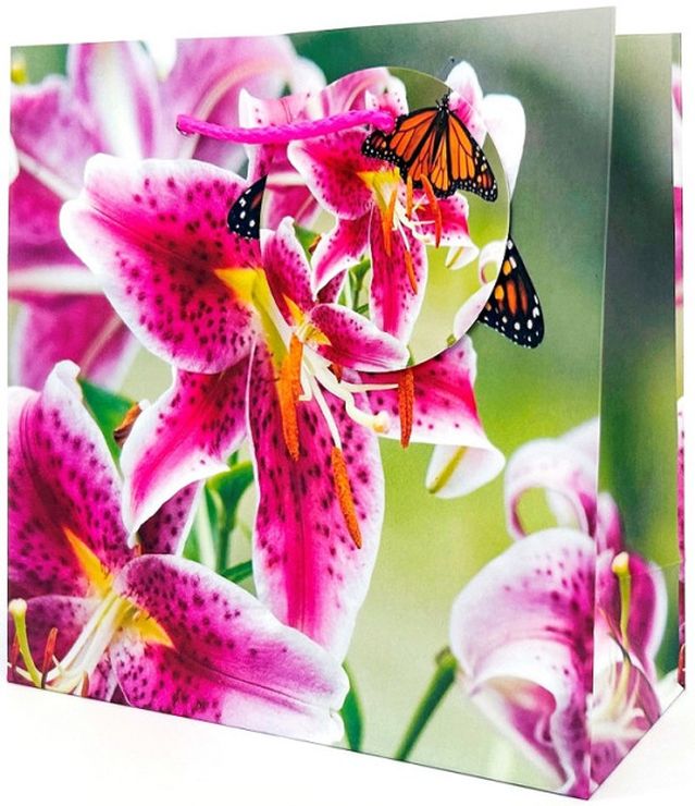 Пакет паперовий 16х16х7 см, ТМ Мандарин