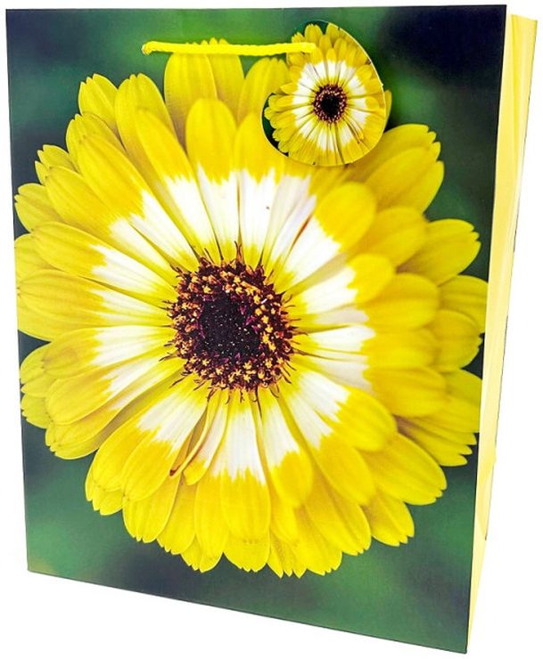 Пакет паперовий 26х32х12 см, ТМ Мандарин