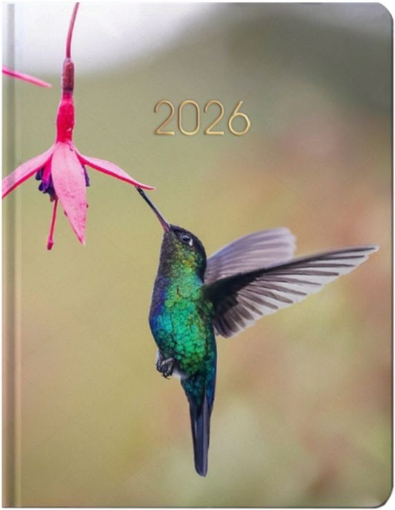 Щоденник датований «Колібрі» А5 на 336 сторінок з картонною обкладинкою, ТМ Economix