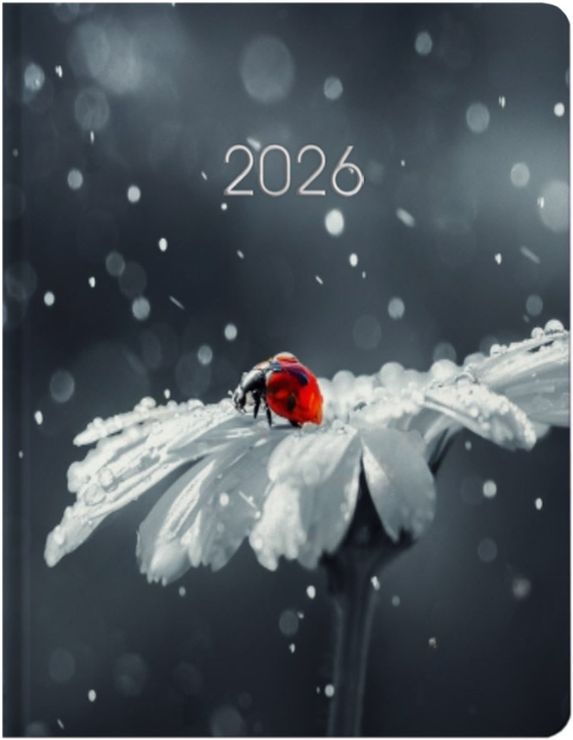 Щоденник датований «Сонечко» А5 на 336 сторінок з картонною обкладинкою, ТМ Economix