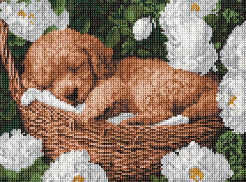 Набір з алмазною мозаїкою «Сплячий пудель» 30х40 см, ТМ Ідейка