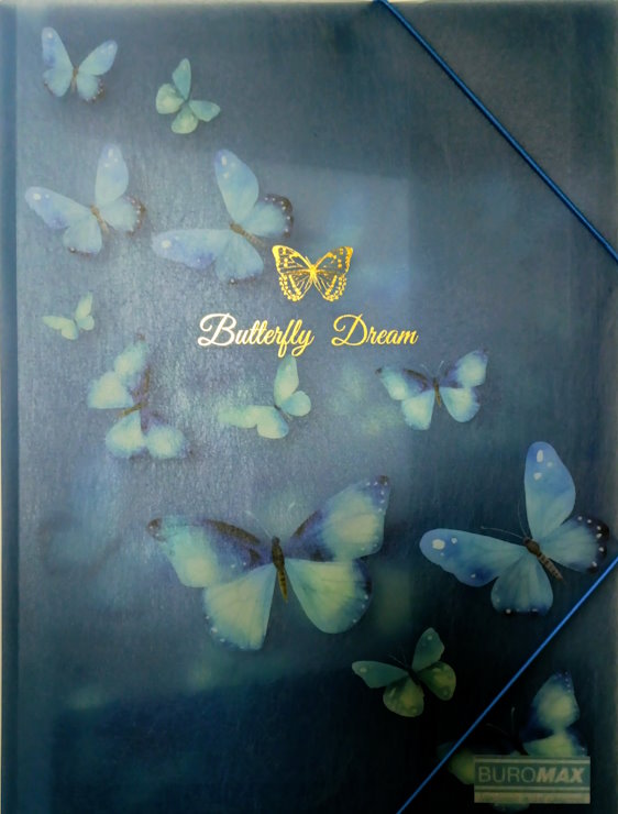 Папка пластикова «ARABESKI» А4 на гумках напівпрозора, синя, TM Buromax