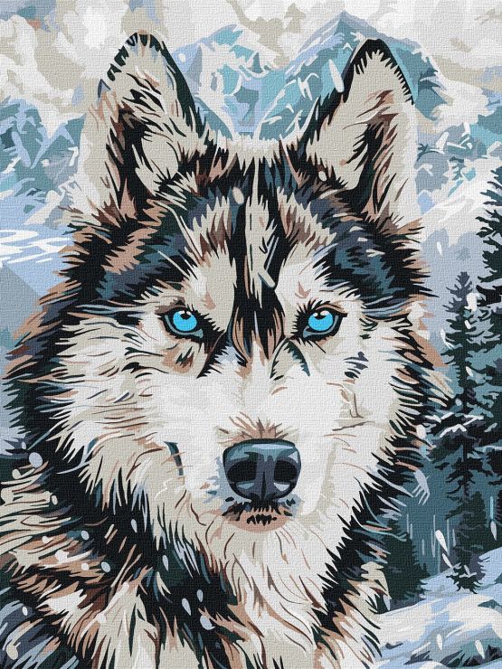 Картина за номерами «Очі півночі» 30х40 см, ТМ Ідейка