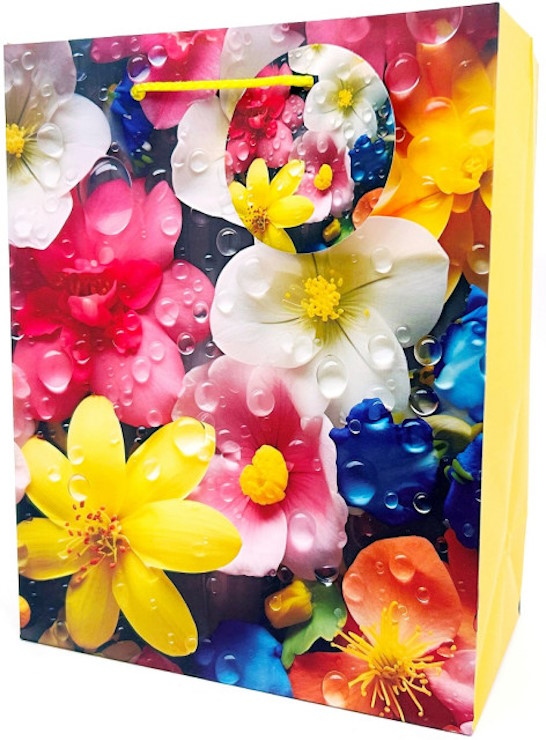 Пакет паперовий 18х23х10 см, ТМ Мандарин