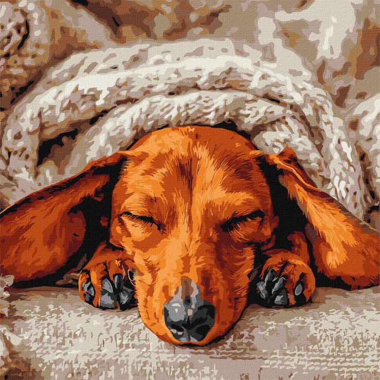 Картина за номерами «Солодкий спокій» 40х40 см, ТМ Ідейка