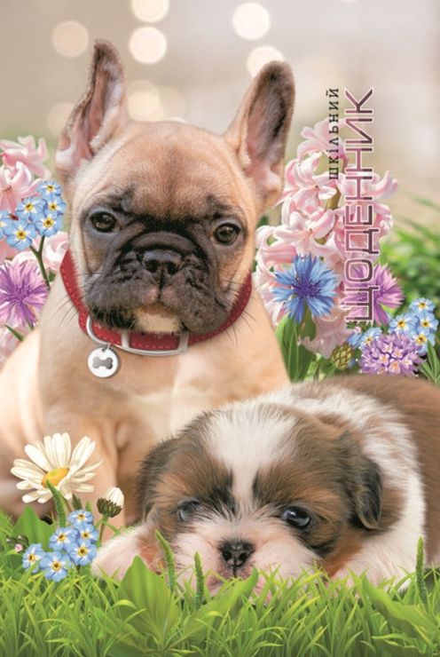 Щоденник шкільний 16,5х24 см на 40 аркушів з матовою ламінацією, ТМ Мандарин