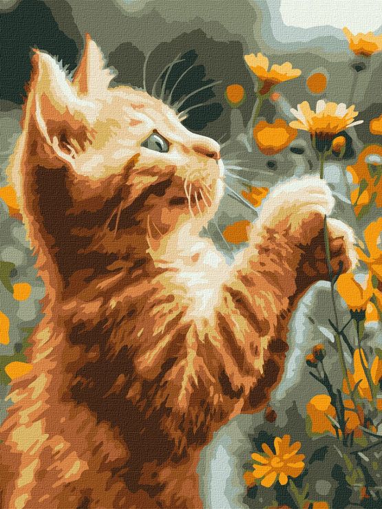 Картина за номерами «Рудий пухнастик» 30х40 см, ТМ Ідейка