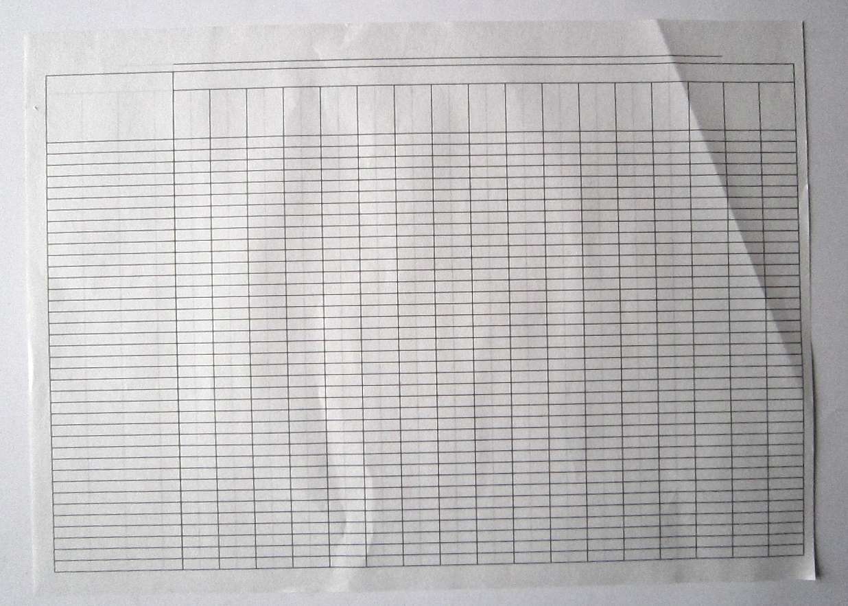 Пустографка двостороння А3, офсет