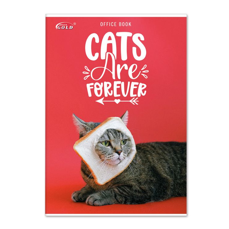 Канцелярська книга на 96 аркушів у клітинку на скобі з картонною обкладинкою, ТМ Gold Brisk