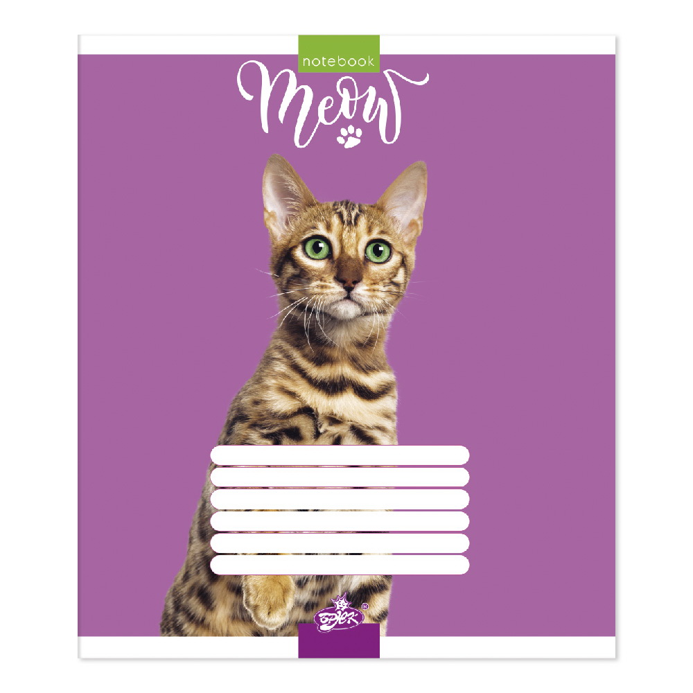 Зошит на 96 аркушів у лінію «Бешкетники», №2191, ТМ Brisk